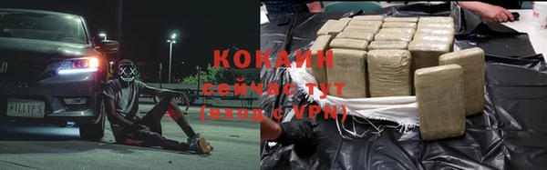 гашик Михайловск