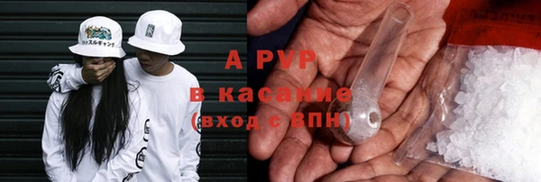 гашик Михайловск