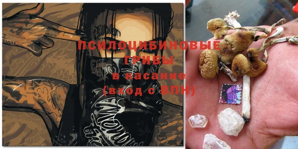 марки lsd Михайлов