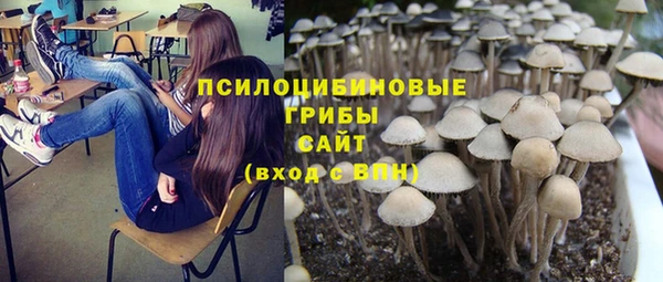 марки lsd Михайлов