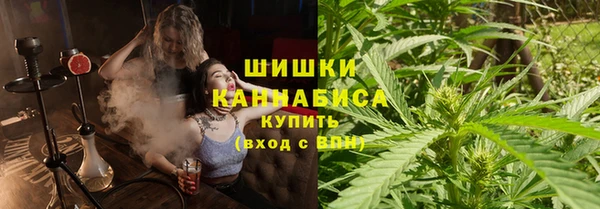 гашик Михайловск