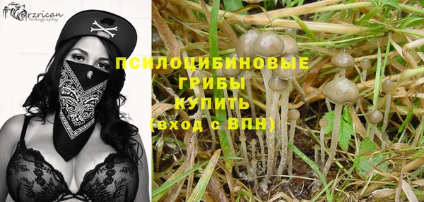 гашик Михайловск