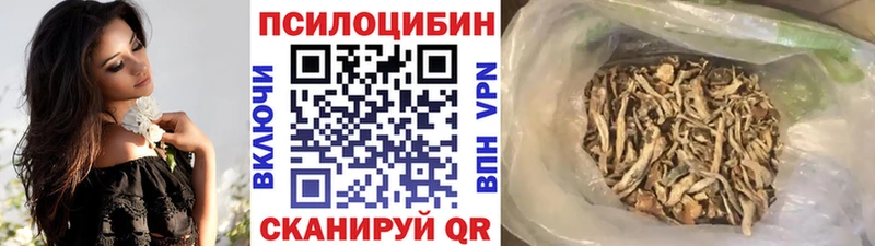 наркошоп  Иноземцево  Псилоцибиновые грибы Cubensis 